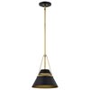 Nuvo Adina 1-Light Small Pendant Matte Black and Natural Brass 60/7767